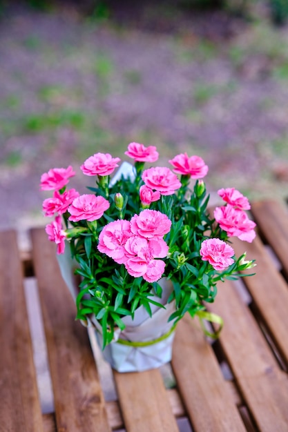 Beaucoup de petites clous de girofle roses dans un vase sur une table en bois à l'extérieur.