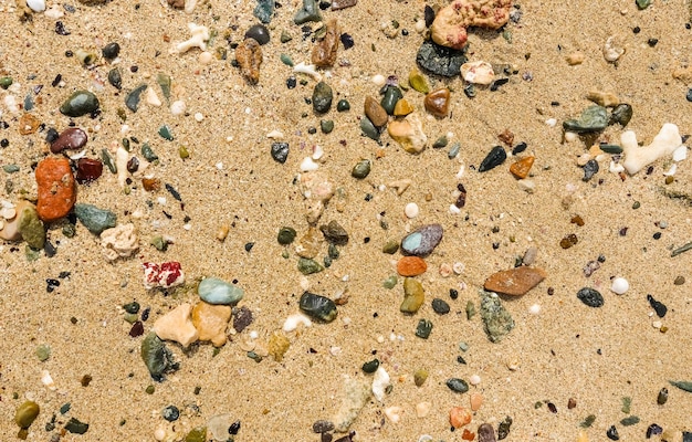 beaucoup de pierres colorées et de coraux dans un sable fin à la plage