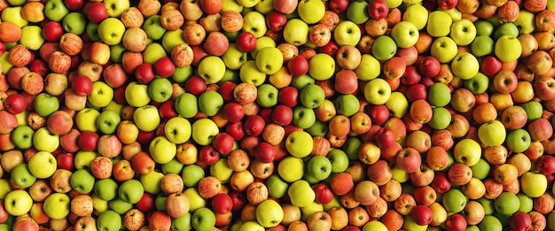 Beaucoup de pommes fraîches mûres comme en-tête de texture de fond de santé, taille de bannière