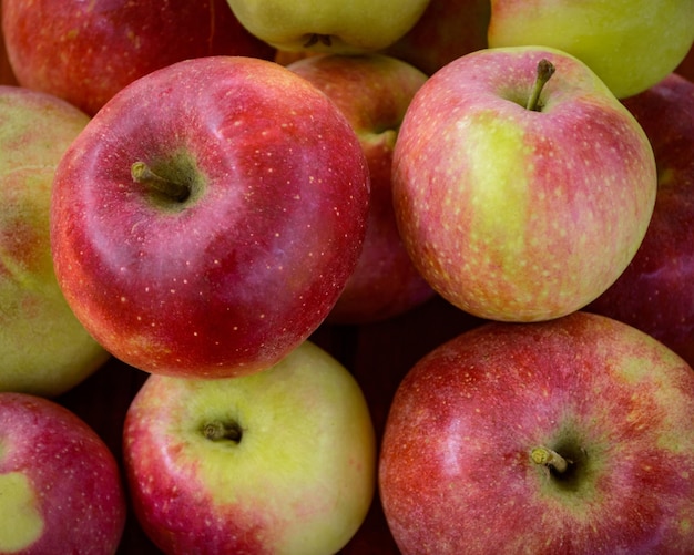 Beaucoup de pommes. Récolte des pommes. Fond de pomme.