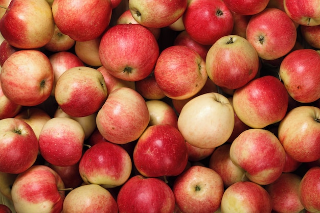 Beaucoup de pommes rouges. État naturel. Vue de dessus