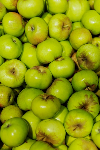 Beaucoup de pommes vertes. Santé et vitamines de la nature. Fermer. Verticale.