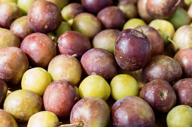 Beaucoup de prunes vertes et violettes mûres fraîchement cueillies se trouvent à la surface