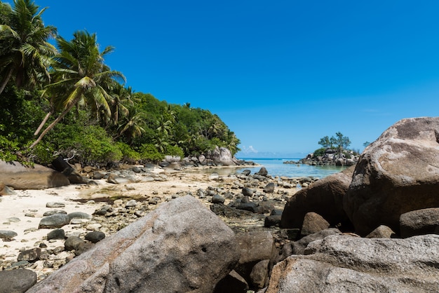 Beaucoup de rochers et de palmiers sur l'île des Seychelles