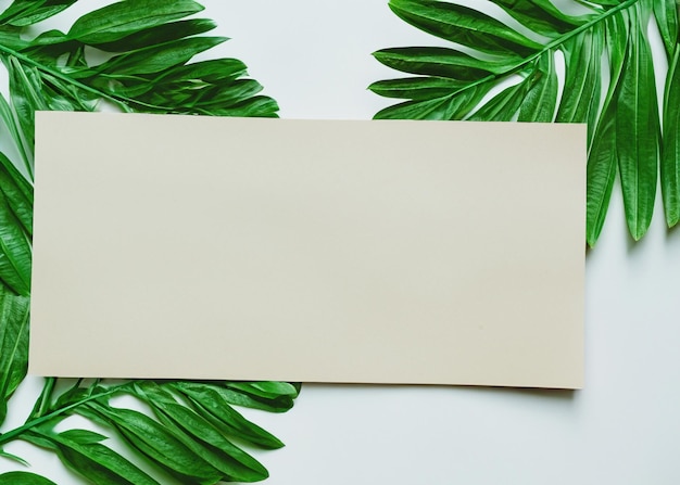 Beauté botanique Cadre à feuilles vertes et bordure en papier sur fond blanc Élément décoratif inspiré de la nature