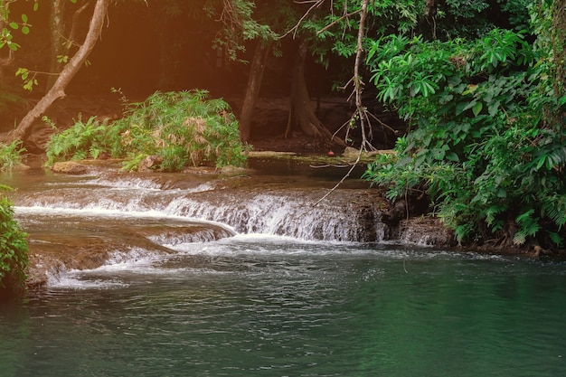 La beauté de la cascade et l'humidité des arbres pendant la saison des pluies.