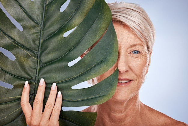 Beauté du visage et vieille femme avec feuille de monstera sur fond de studio bleu Maquillage de soins de la peau et modèle féminin âgé du Canada avec des cosmétiques végétaux biologiques pour une peau saine et éclatante anti-âge