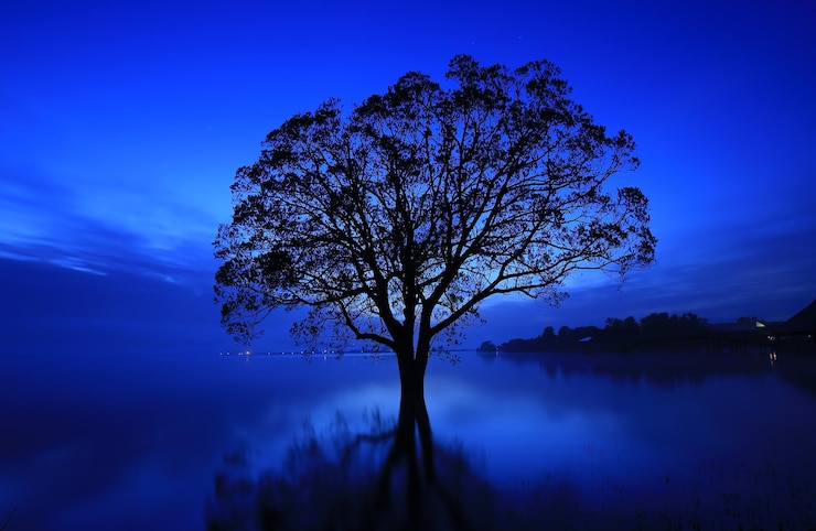 Photo la beauté étonnante de la nature les paysages naturels les paysages agréables