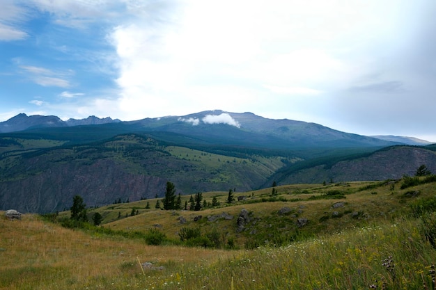 la beauté fascinante de la nature de l'Altaï d'été