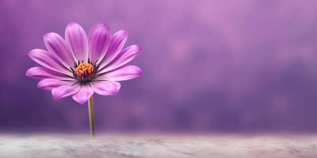 Beauté fleurs violettes décoration de jardin copie de l'espace fond flou IA générative