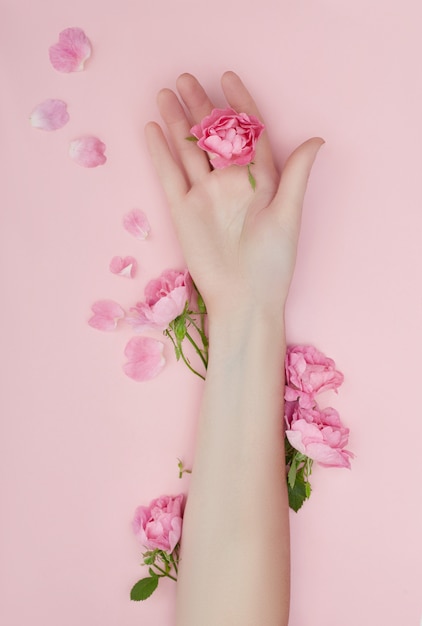 Beauté main d'une femme avec des fleurs rouges se trouve sur la table, la surface de papier rose. Produit cosmétique naturel et soin des mains, hydratation et réduction des rides, soin de la peau
