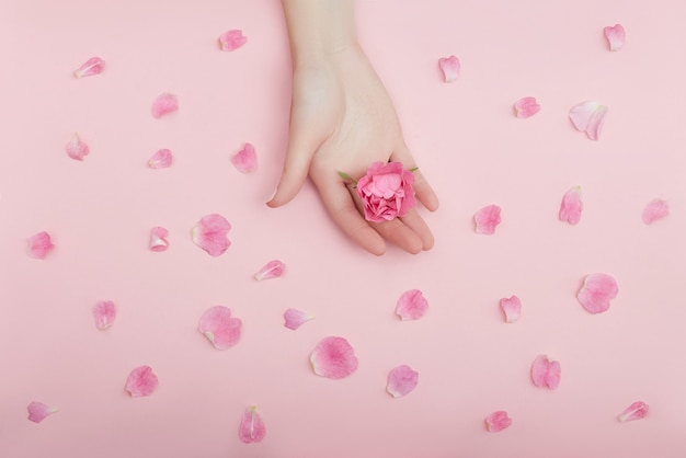 Beauté main d'une femme avec des fleurs rouges se trouve sur la table, la surface de papier rose. Produit cosmétique naturel et soin des mains, hydratation et réduction des rides, soin de la peau