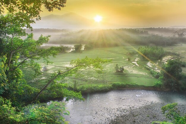 Beauté le matin, couleur étonnante du paysage du matin