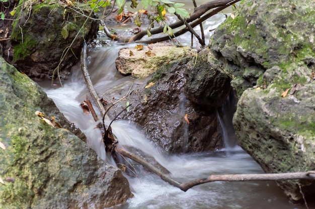 La beauté de la nature et une cascade dans la rivière entre les pierres