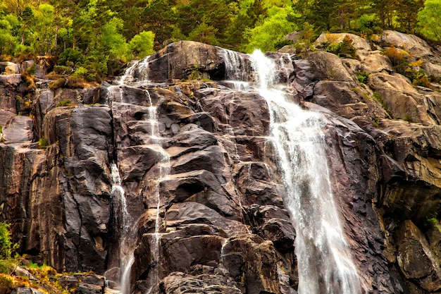 La beauté de la nature : cascade, rocher et forêt