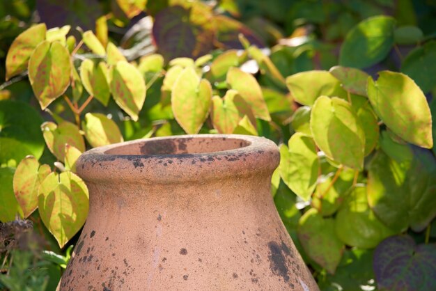 La beauté de la nature Le jardin en automne