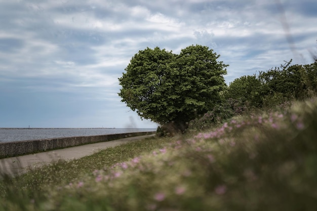 la beauté de la nature