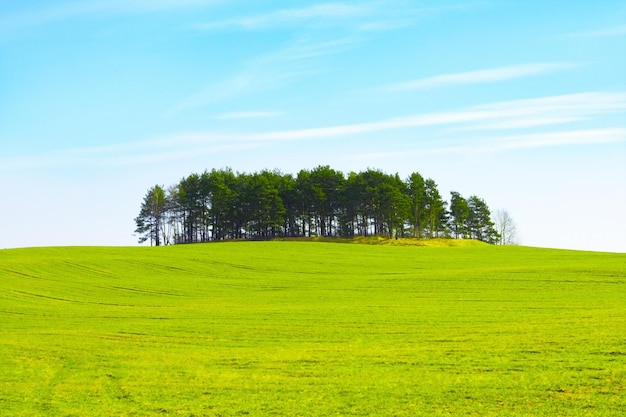 Beauté des paysages de paysage de printemps dans les paysages naturels et le concept d'environnement