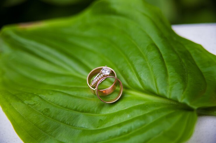 Beaux anneaux de mariage sur une feuille verte
