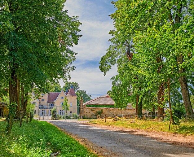 De beaux arbres verts et de l'herbe avec une route menant à la maison des terres agricoles au printemps Paysage de campagne dynamique et luxuriante à l'extérieur par une journée ensoleillée et relaxante avec un ciel nuageux à Lyon France