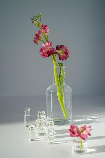 Beaux arrière-plans abstraits avec des fleurs et des vases