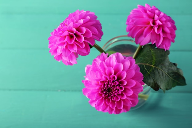 Beaux asters sur fond de bois