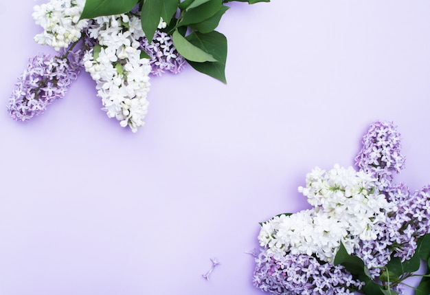 Beaux bouquets de lilas sur fond clair avec une place pour le texte.