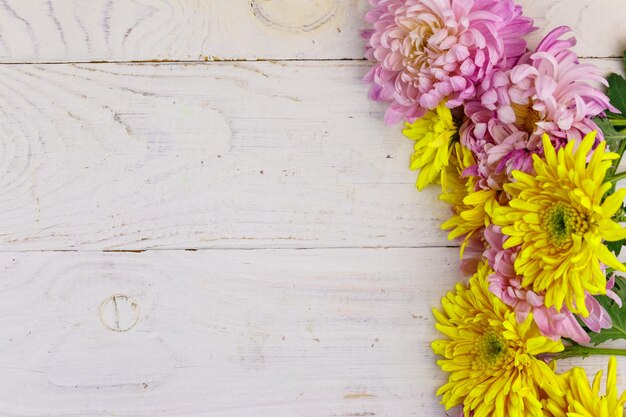 Beaux chrysanthèmes sur fond de bois blanc vue de dessus copie espace