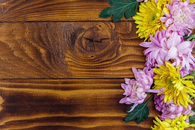 Beaux chrysanthèmes sur fond de bois. Vue de dessus, espace de copie