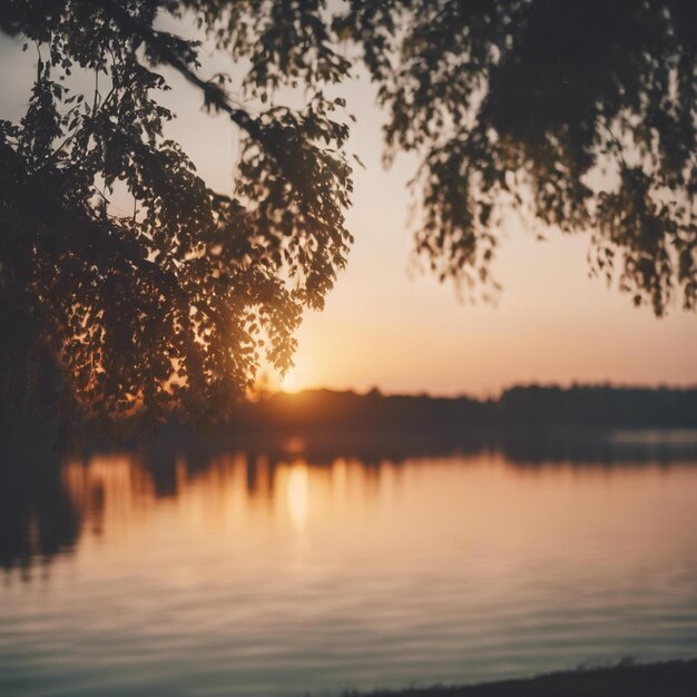 Beaux détails d'été au lever du soleil heure d'or sur le lac