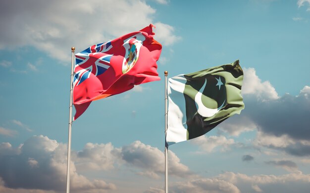 Beaux drapeaux nationaux ensemble au ciel