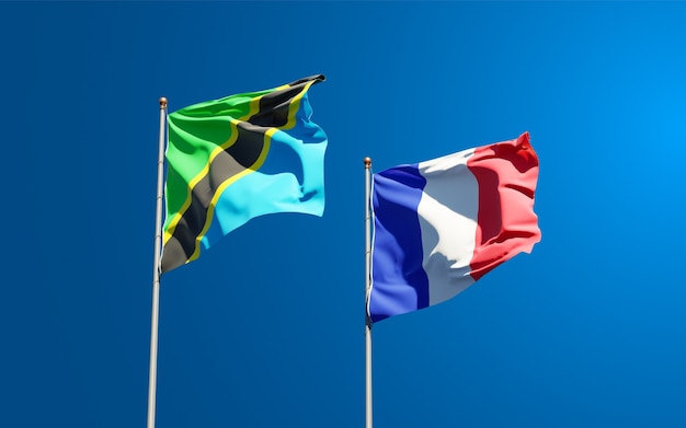 Beaux drapeaux nationaux de la France et de la Tanzanie ensemble au ciel