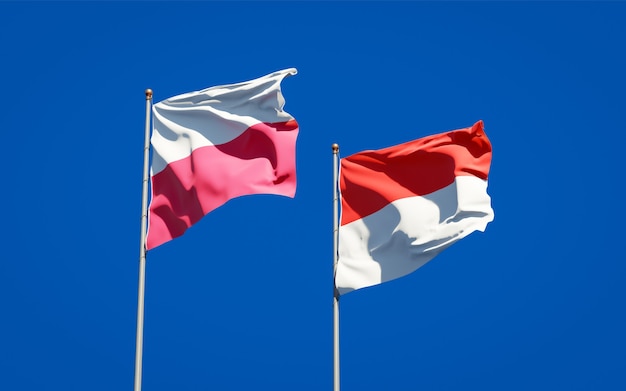 Beaux drapeaux nationaux de la Pologne et de l'Indonésie ensemble sur ciel bleu