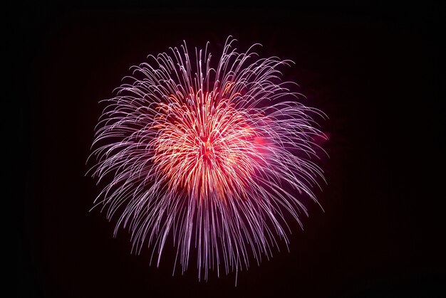 Beaux feux d'artifice sur le fond de ciel noir