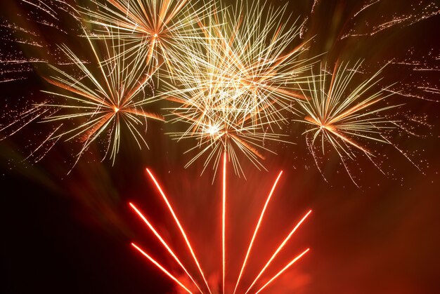 Beaux feux d'artifice sur le fond de ciel noir