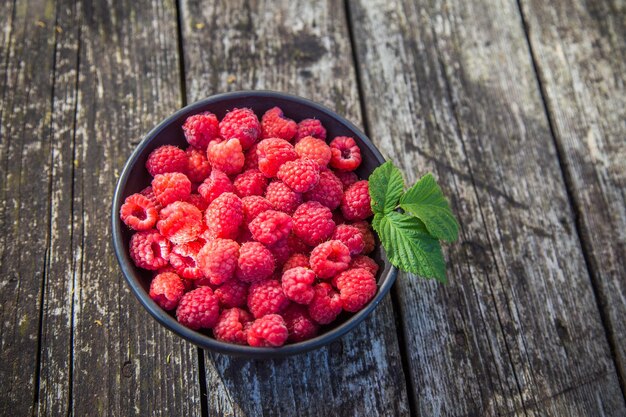 Photo beaux framboises fraîchement cueillies dans le jardin en été baies d'été nourriture naturelle