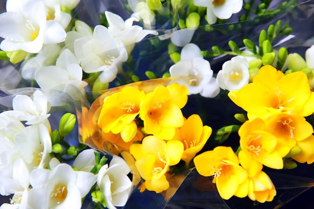 De beaux freesias dans la boutique