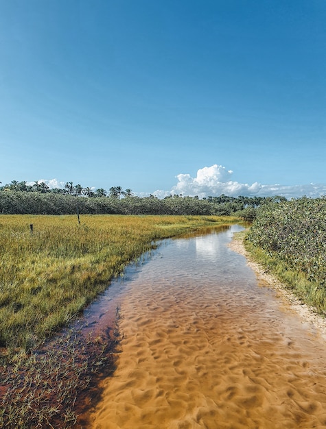 Beaux lacs du monde