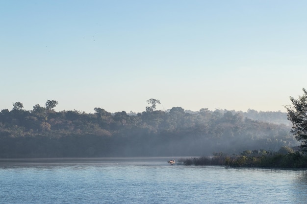 Beaux marais en Thaïlande avec la brume du matin