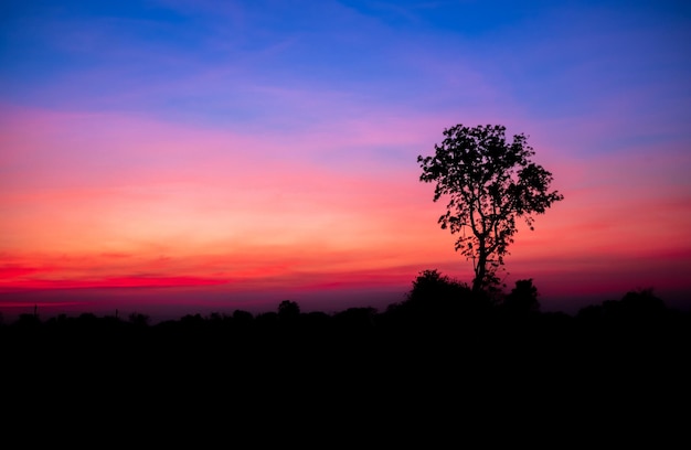 De beaux nuages de couleur orange et arc-en-ciel dégradés et la lumière du soleil sur le ciel bleu parfait pour l'arrière-plan dans everningTwilight