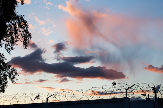 Beaux nuages magnifiques au coucher du soleil dans le ciel