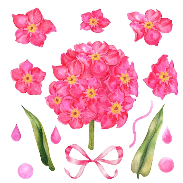 Beaux oublis roses aquarelles pour bouquets de mariage fête des mères Saint Valentin anniversaire