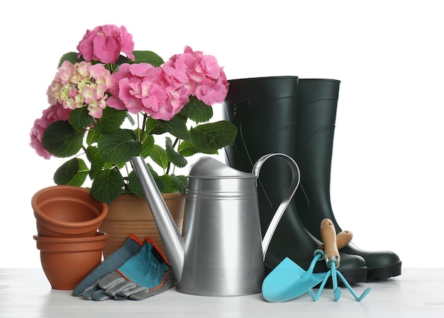 Beaux outils et accessoires de jardin de plantes en fleurs sur fond blanc