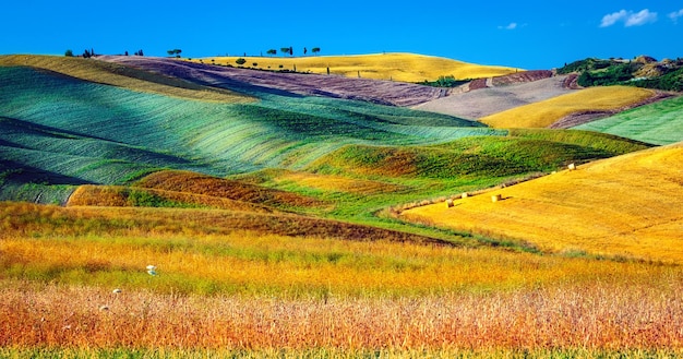 Beaux paysages agricoles