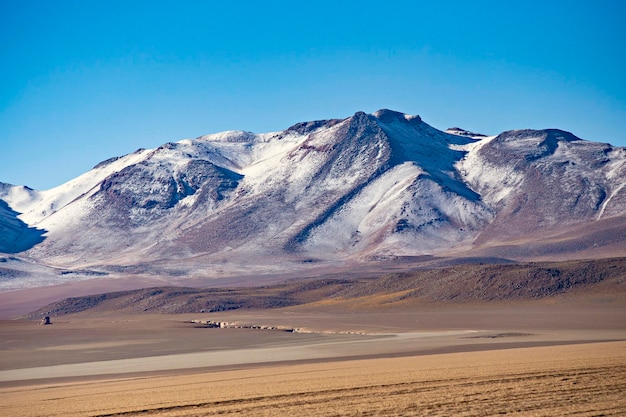 Beaux paysages de l'Altiplano bolivien, Bolivie