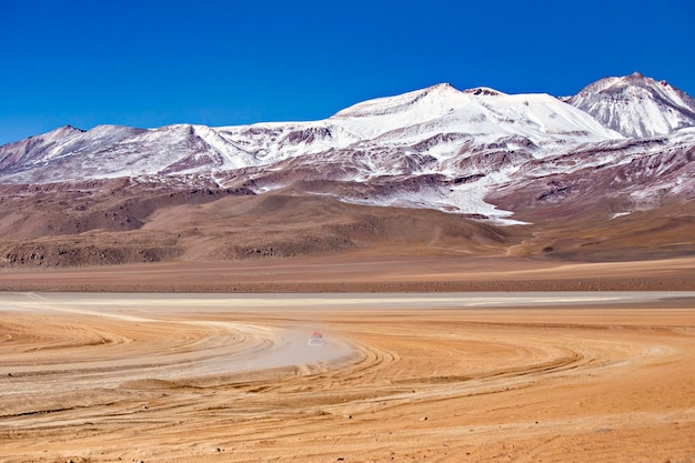 Beaux paysages de l'Altiplano bolivien, Bolivie