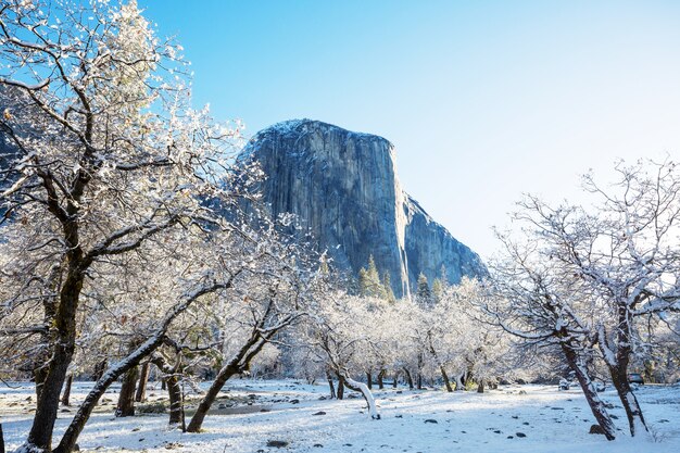 Beaux paysages au début du printemps dans le parc national de Yosemite, Yosemite, USA