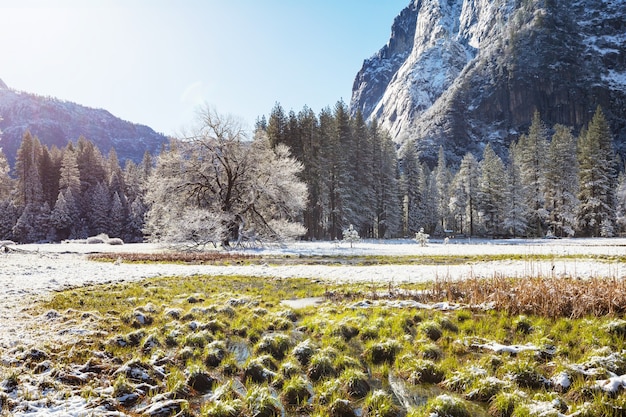 Beaux paysages au début du printemps dans le parc national de Yosemite, Yosemite, USA