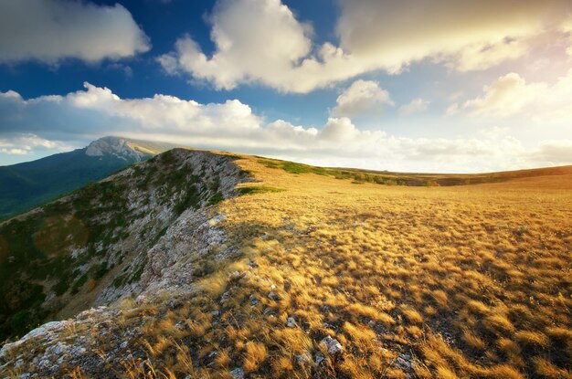 Photo beaux paysages composition de la nature