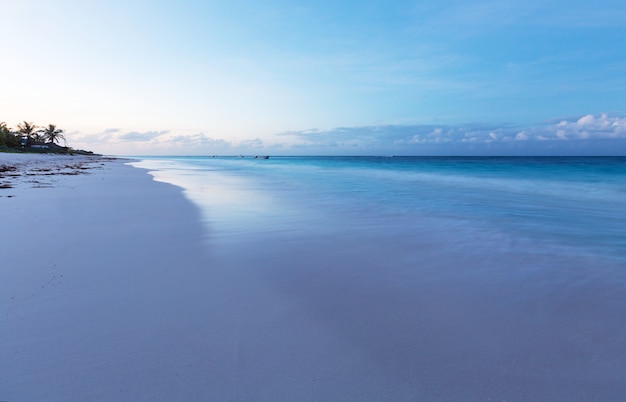 Beaux paysages d'été sur la plage tropicale